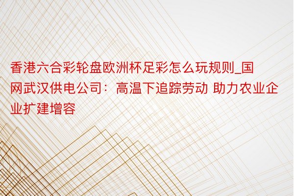 香港六合彩轮盘欧洲杯足彩怎么玩规则_国网武汉供电公司：高温下追踪劳动 助力农业企业扩建增容