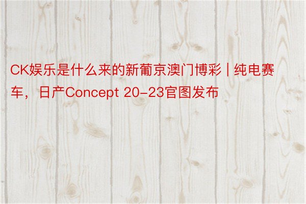 CK娱乐是什么来的新葡京澳门博彩 | 纯电赛车，日产Concept 20-23官图发布